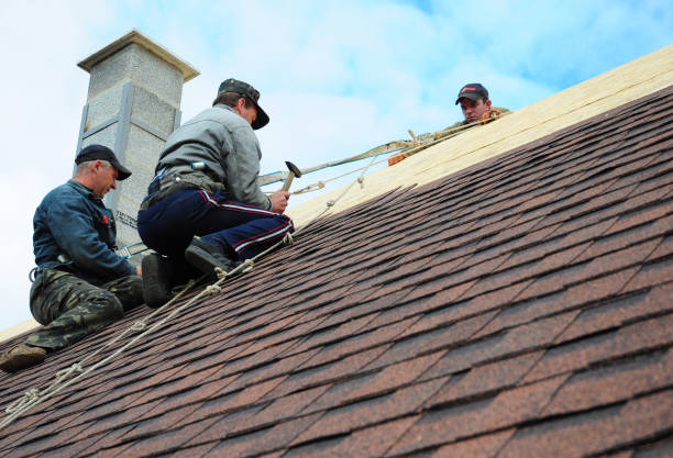 Best Roof Gutter Cleaning  in Ransom Canyon, TX